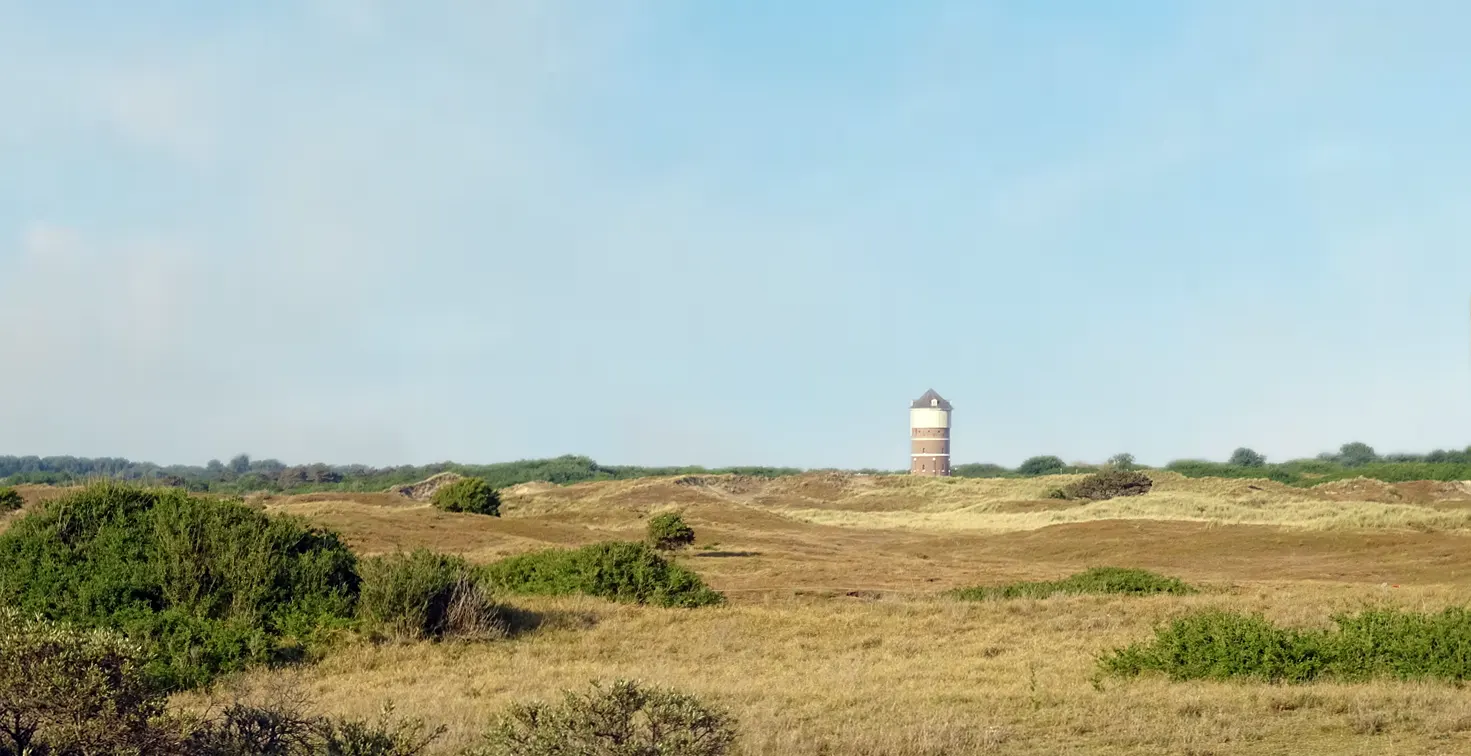 Unsplashed background img 2