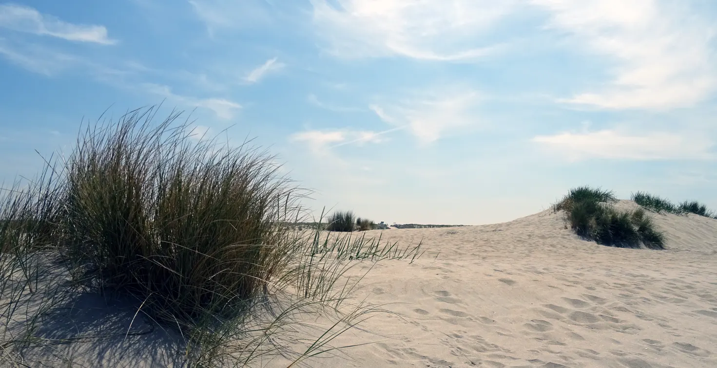 Unsplashed background img 1